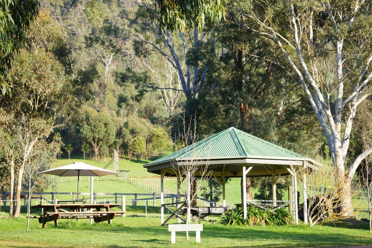 Strath Creek Halls On Falls Homestead المظهر الخارجي الصورة