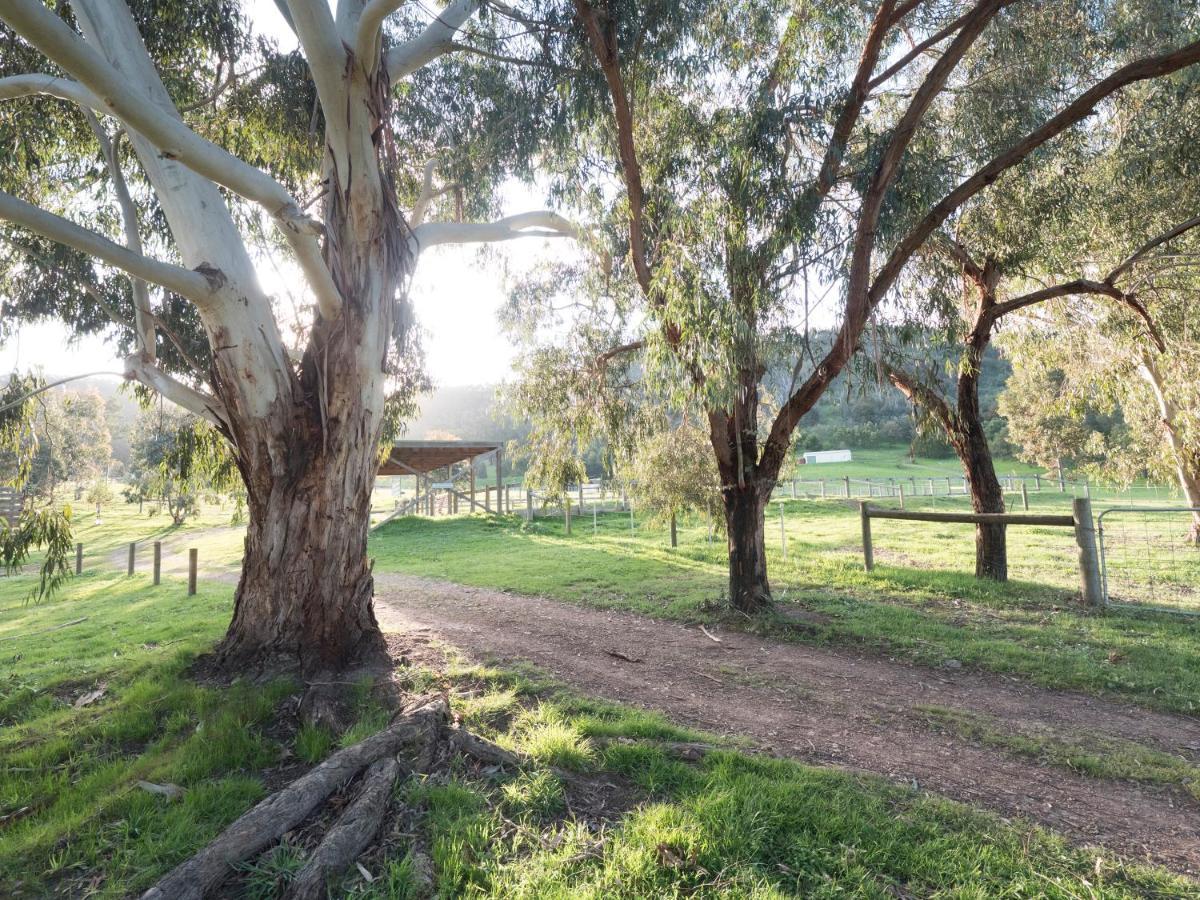 Strath Creek Halls On Falls Homestead المظهر الخارجي الصورة